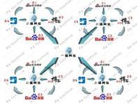 �߿Ƽ�������Ƶ�������᣺�����й���ɫ��������·�ļ�����ʶ...